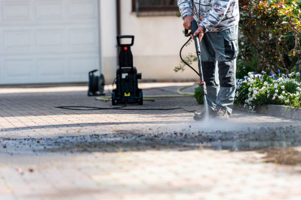 Best Roof Power Washing Services  in Oak View, CA